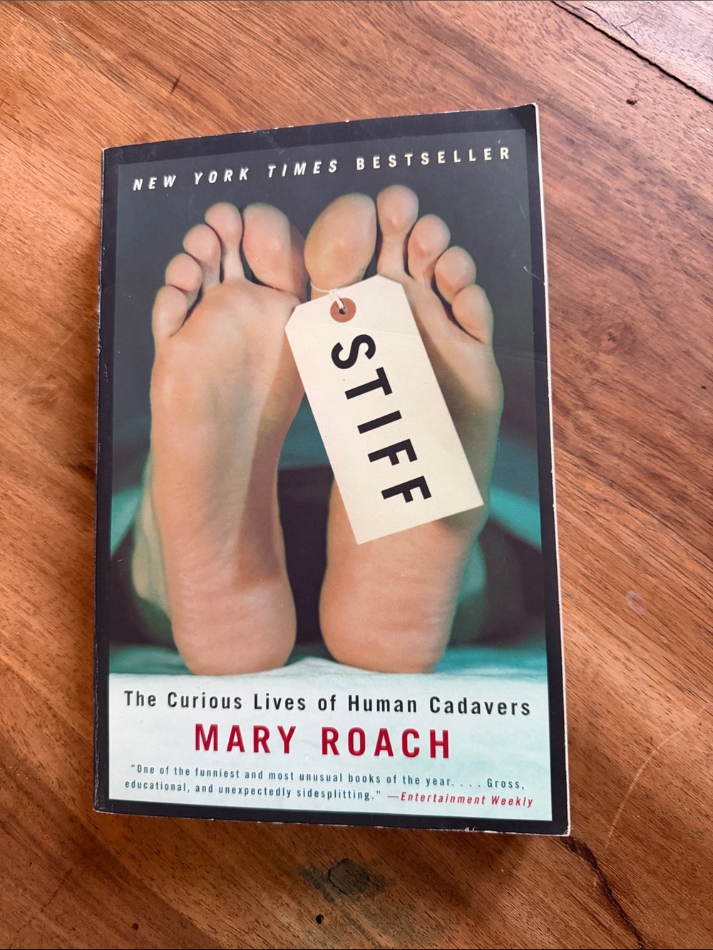 'Stiff' Paperback Book - White/Cream Cover